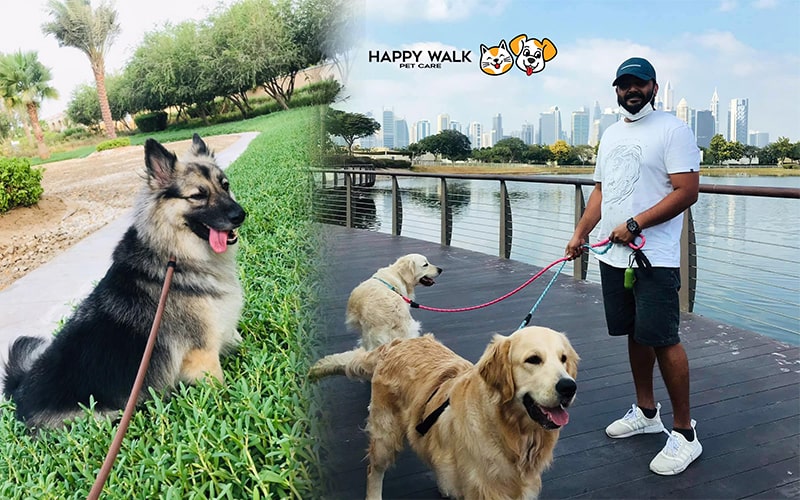 Happywalk-petcare-with-gigabyte-advertising-project